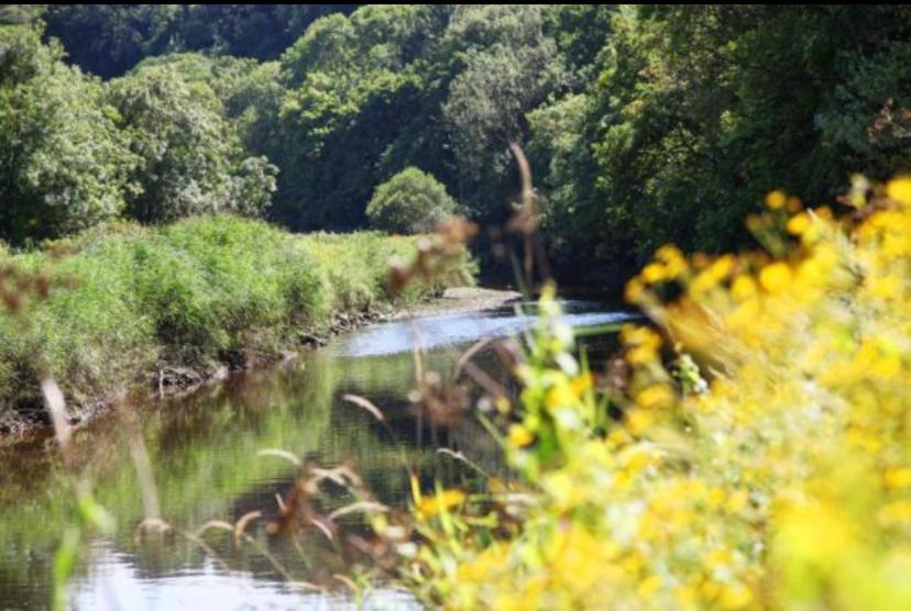 Luxury Riverside Escape In North Devon! Stunning Views